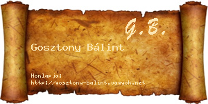 Gosztony Bálint névjegykártya